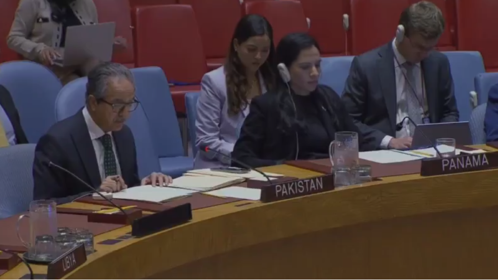 At UNSC, Pakistan reaffirms support for Libya’s sovereignty, Libyan-led political process